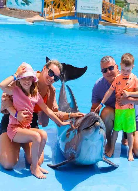 Dolphin Photo Session